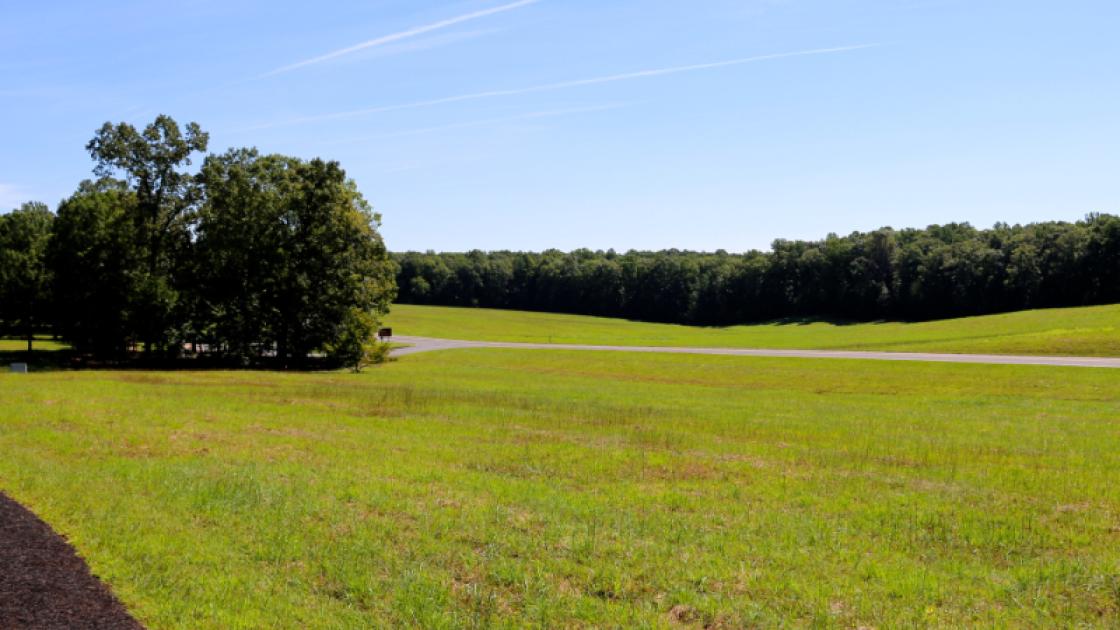 Photograph of Saunders Field at Wilderness