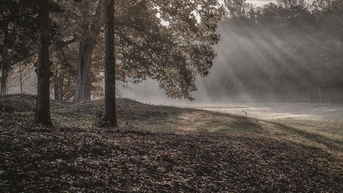 This image depicts rays of light shining through the trees at Spotsylvania.