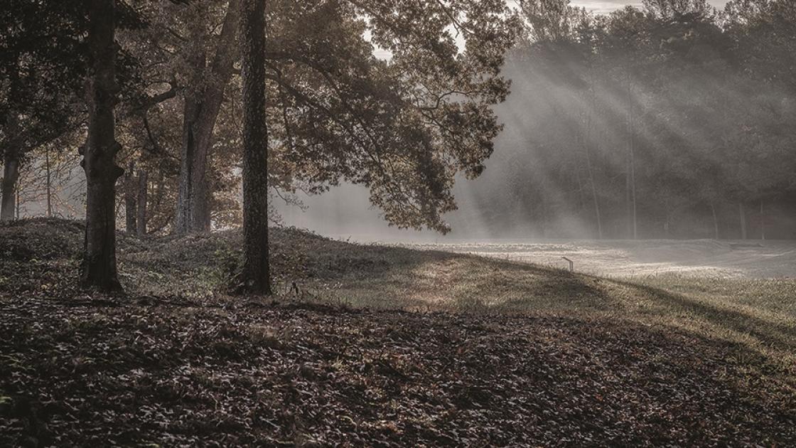 This image depicts rays of light shining through the trees at Spotsylvania. 