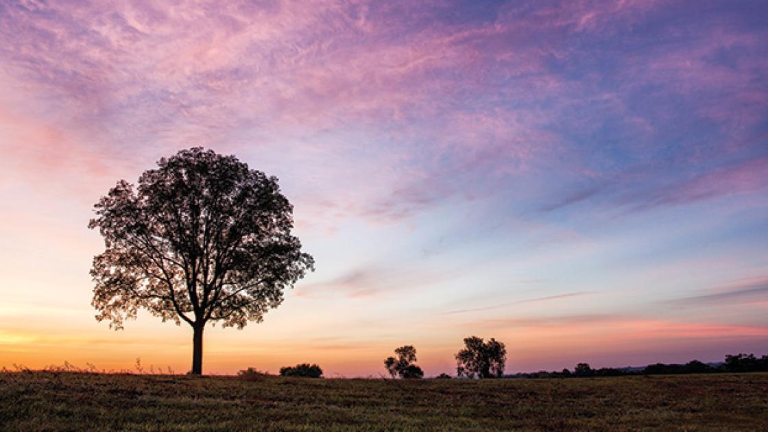 Brandy Station