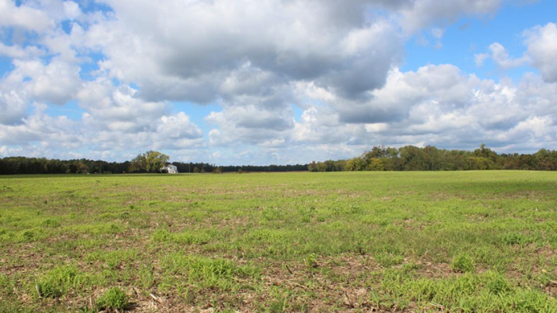 Malvern Land Saved