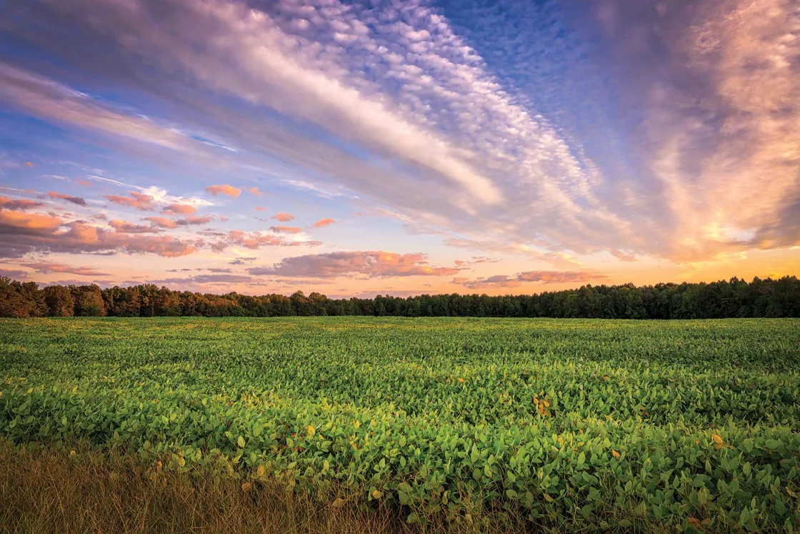 Gaines' Mill Battlefield, Hanover County, Va.