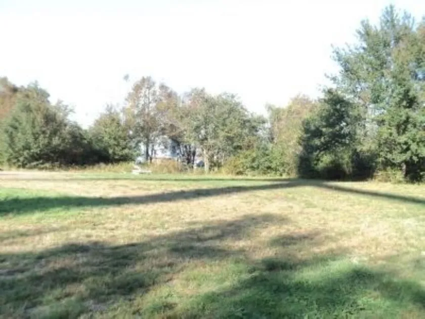 A sunlit grassy field stretches toward a dense line of leafy trees, with long shadows cast across the ground.