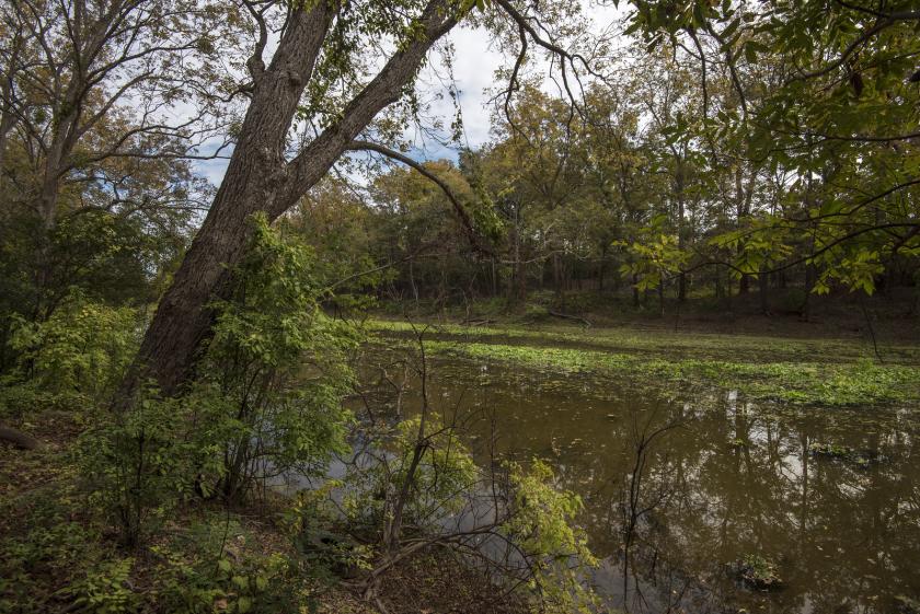 Chickasaw Bayou