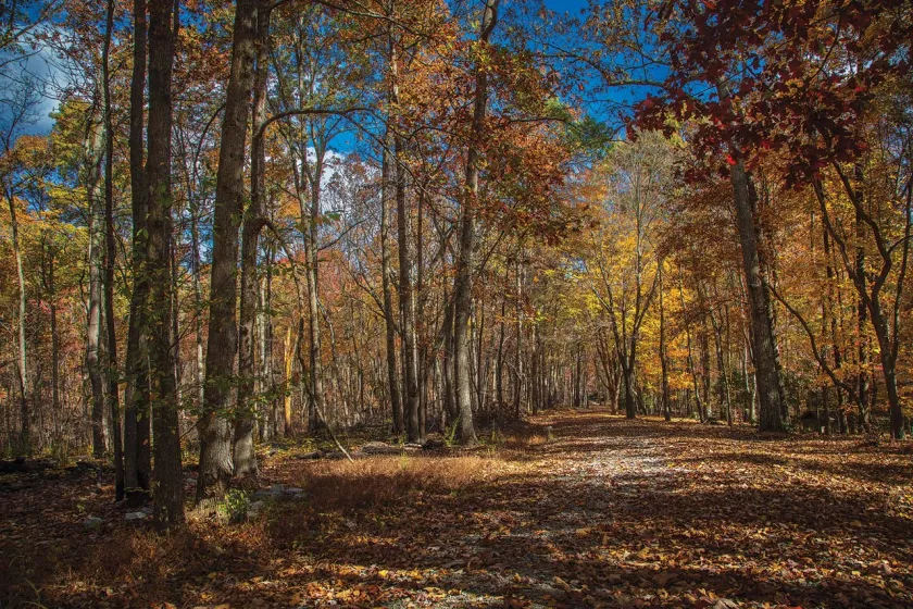 Overmountain Victory National Monument Trail, Kings Mountain National Military Park, Blacksburg, S.C.