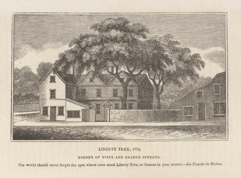 The Liberty Tree in Boston, illustrated in 1825