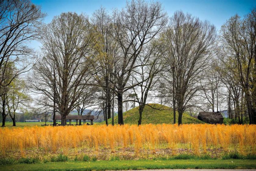 Field and trees with a park structure and large mound in the center of the photo