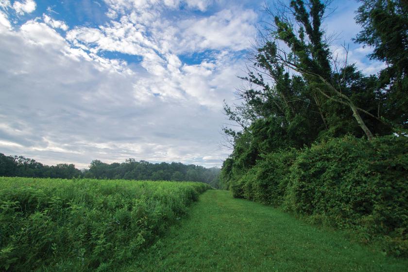 Princeton Battlefield State Park, Princeton, N.J.