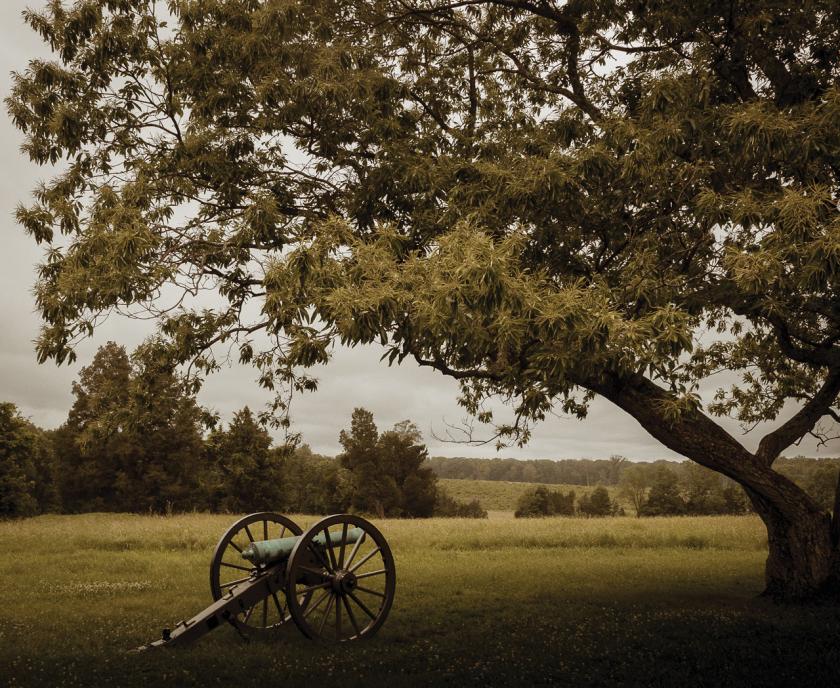 A photograph of a cannon and trees at Manassas National Battlefield Park