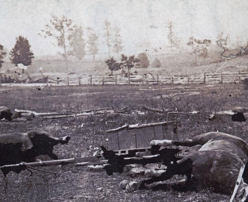 A black and white photograph of Antietam Battlefield following the battle.