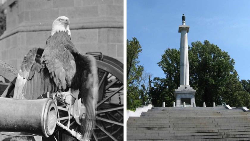 A photograph of Old Abe, a bald eagle, and the Wisconsin Memorial at Vicksburg National Military Park