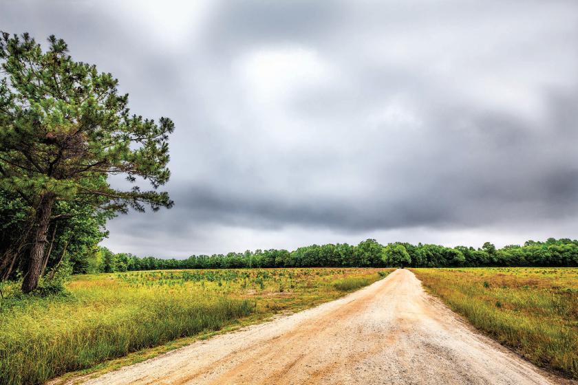 Road through the fields of Bentonville Battlefield