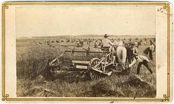 Harvesting Wheat, St. Paul, Minnesota, photographer unknown, 1860. The photograph depicts workers harvesting wheat in Minnesota on the eve of the Civil War.
