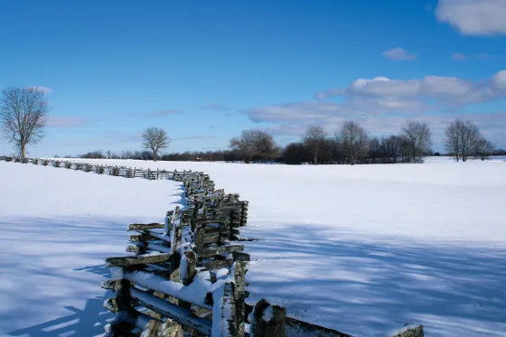 A snowy day at Camp Nelson