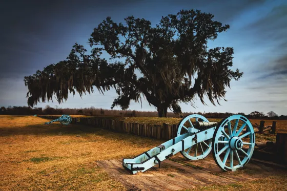 Chalmette Battlefield, New Orleans, La.