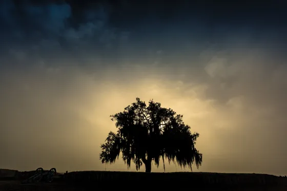 Chalmette Battlefield, La.