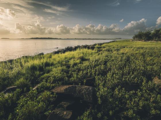 Fort Johnson, Charleston, S.C. | MATT BRANT