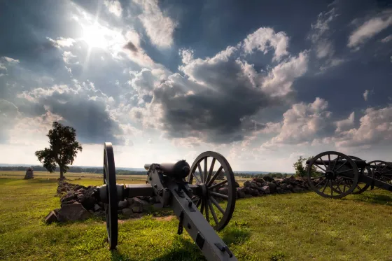 Artillery pointed across a field