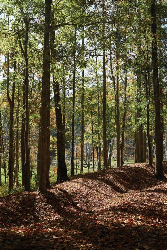 Original trenches, New Bern Battlefield Park, New Bern, N.C.