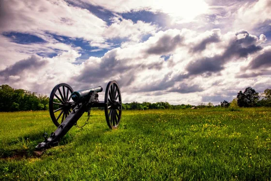 A cannon against a dramatic, cloudy sky. Yellow wildflowers bloom in the grass.