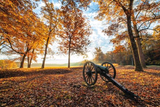 The Wilderness, Spotsylvania and Orange Counties, Va.