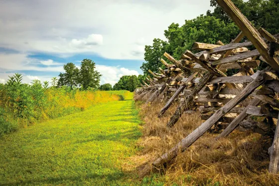 Wilson's Creek battlefield with fences in the foreground.