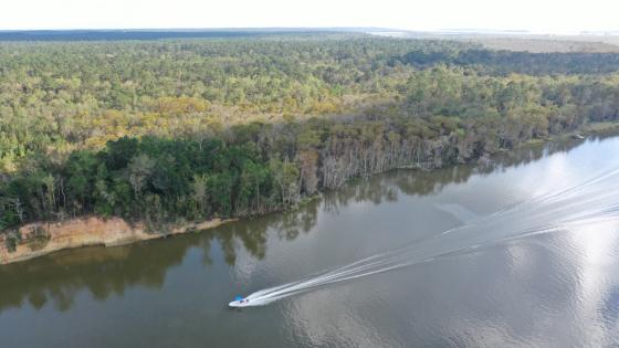 Arial view of the Blakeley Bluffs. Photo by Keith West.