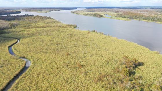 Arial view of the Blakeley Bluffs property. Photo by Keith West.