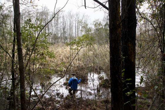 Blakeley Bluff. Photo by Beth Maynor Finch.