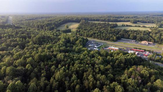 The Wilderness Battlefield, Spotsylvania County, Va.