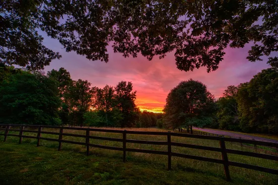 The Wilderness, Spotsylvania and Orange Counties, Va.