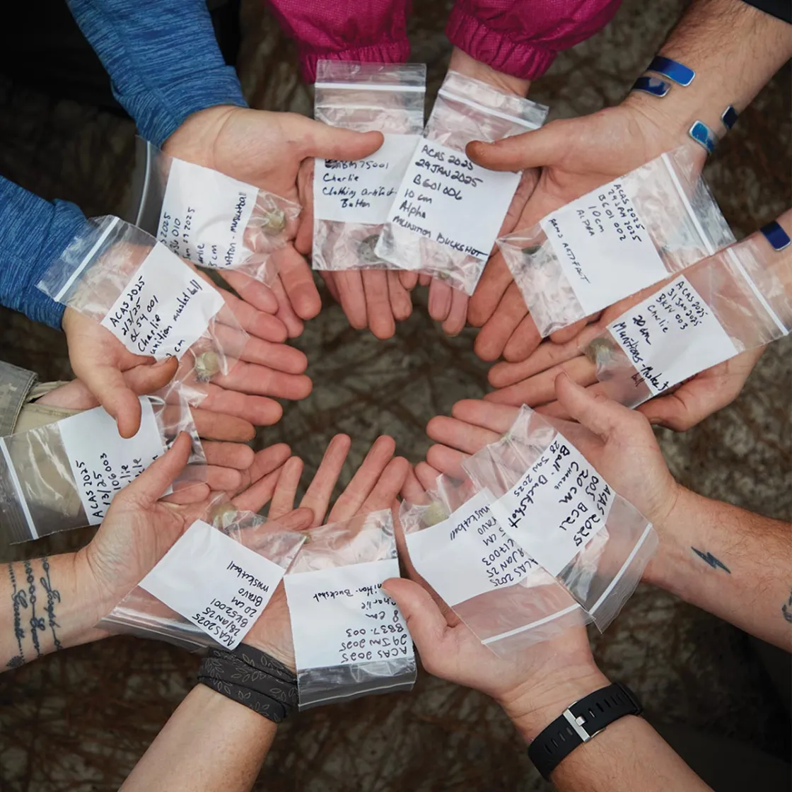 A circle of hands holding artifacts found on the Camden Battlefield in bags.