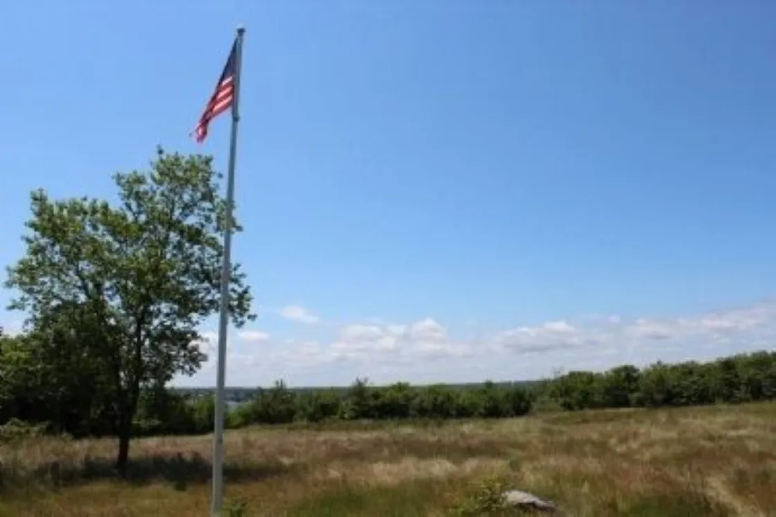 A tall flagpole flying the U.S. flag rises from an open grassy field, with a leafy green tree beside it and a line of trees along the horizon.
