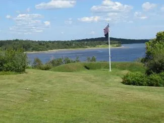A tall flagpole stands in a grassy clearing, flying the United States flag against a bright sky with scattered white clouds. 