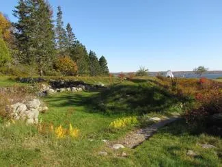 A grassy stone‑lined path curves toward a distant blue body of water and lighthouse, bordered by evergreen trees and autumn foliage under a clear sky.