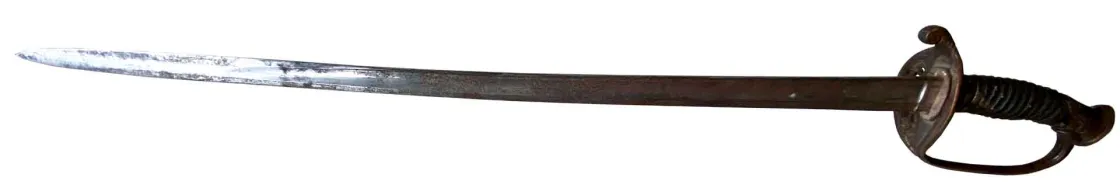 Charles Gould's sword