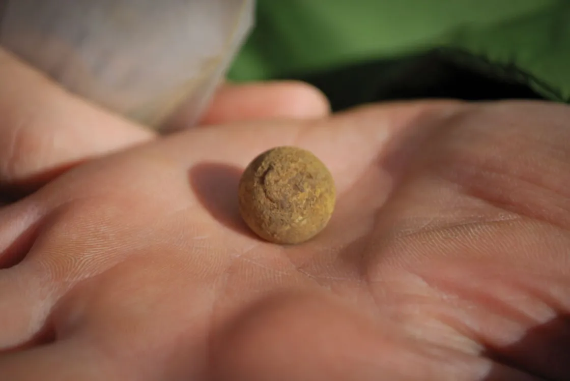 A musket ball found in the “Parker’s Revenge” area.