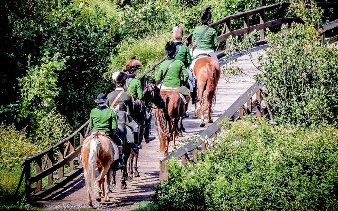 Five riders in matching green jackets and black hats cross a wooden bridge on horseback through dense green foliage.