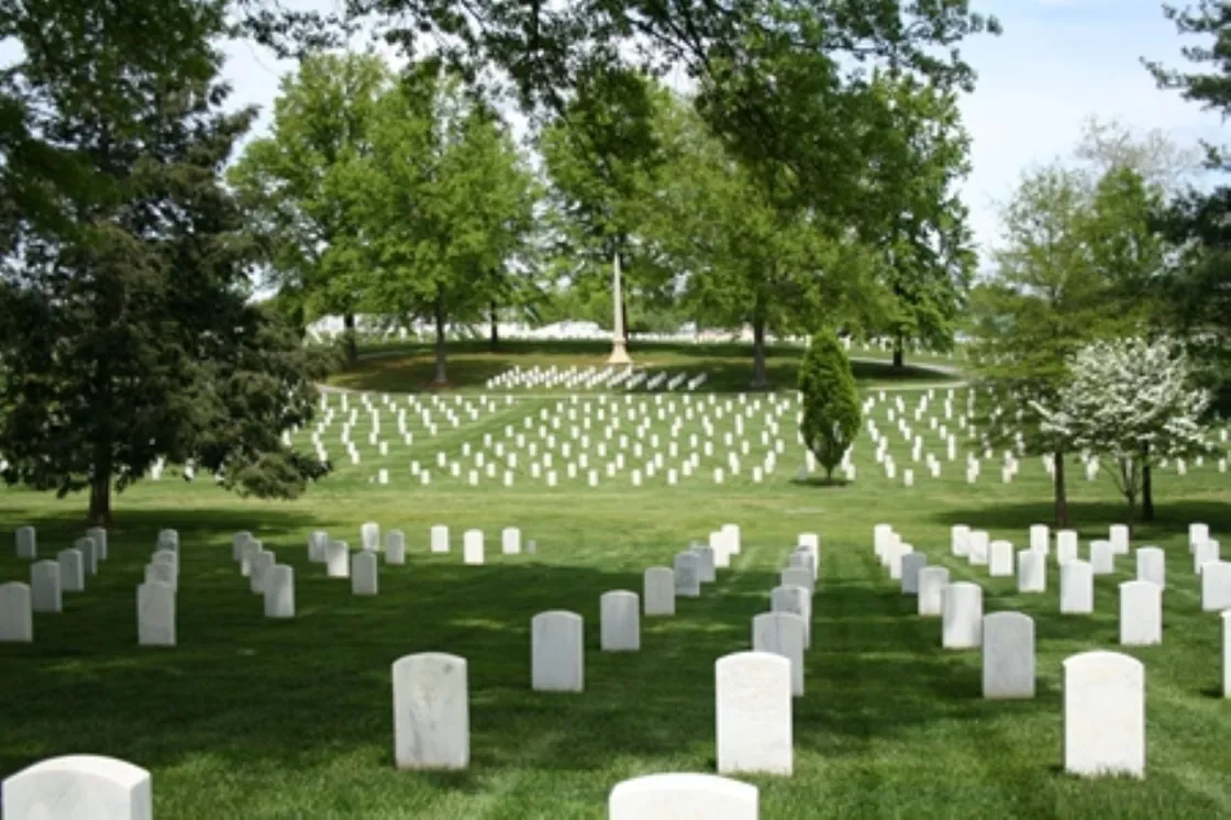 Rows of white headstones stretch across a sloping green lawn, arranged in precise, rows. Tall leafy trees frame the scene, with a stone obelisk rises in the distance