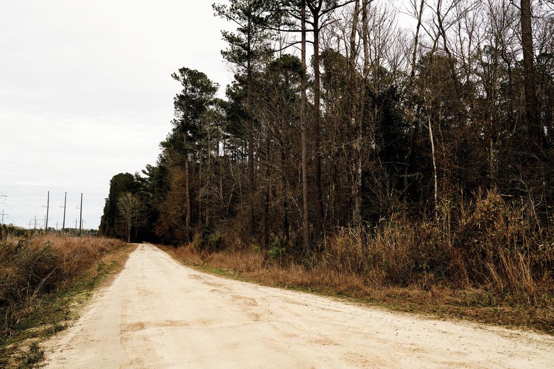 Unpaved dirt road with woods on one side and field and power lines on the other.