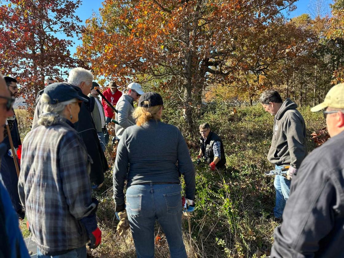 Tom demonstrates invasive cutting techniques at Cedar Mountain Battlefield.