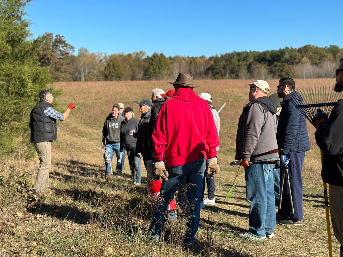 Tom leads a group of volunteers in identifying harmful invasives.