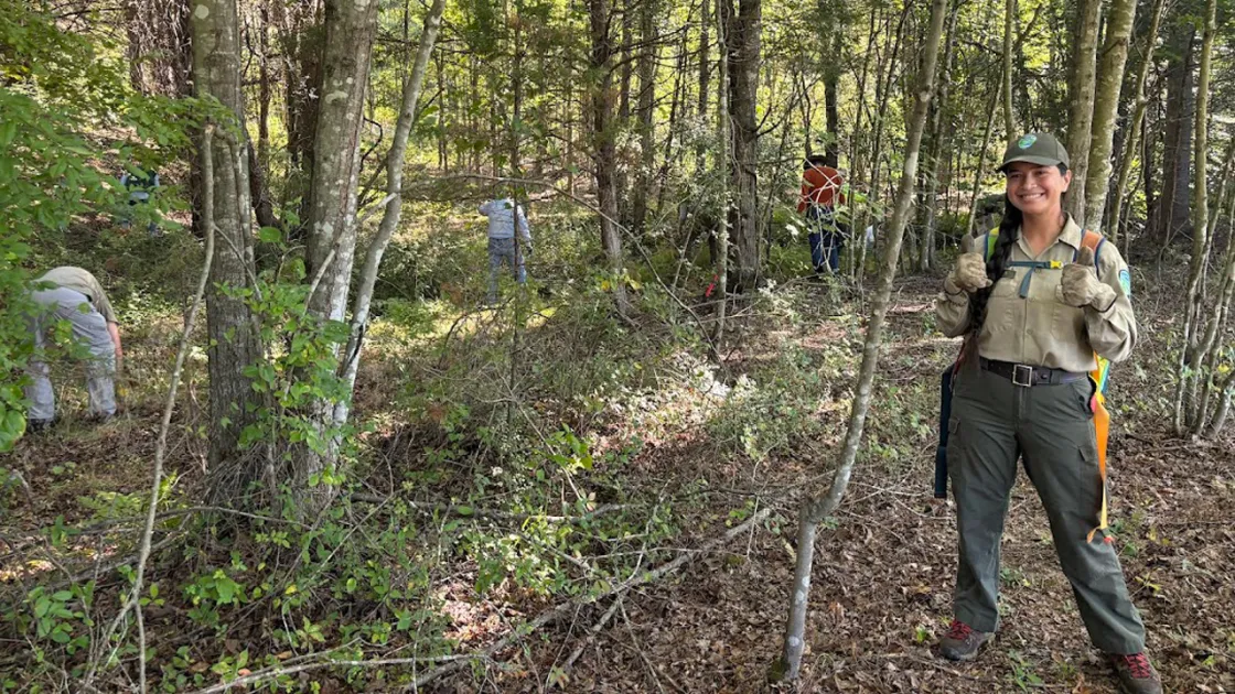 Volunteers remove invasive plants to maintain/restore habitat at Cedar Mountain