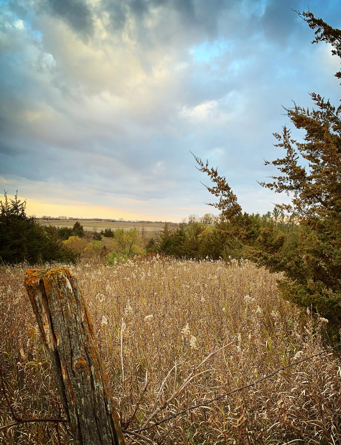 Wood Lake Battlefield