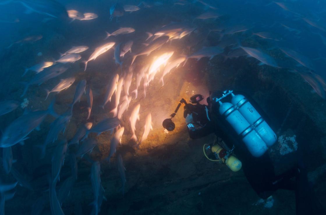 Diver to USS Monitor surrounded by a school of greater amberjack.