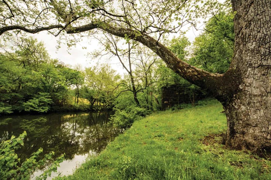 Campground and Bridge Site at Cedar Creek