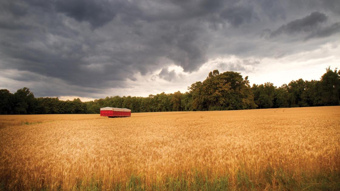 Gaines' Mill Battlefield