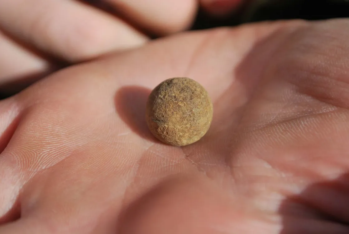 Dr. Meg Watters holds a musket ball found at the Parker's Revenge Site at Minute Man National Historical Park.