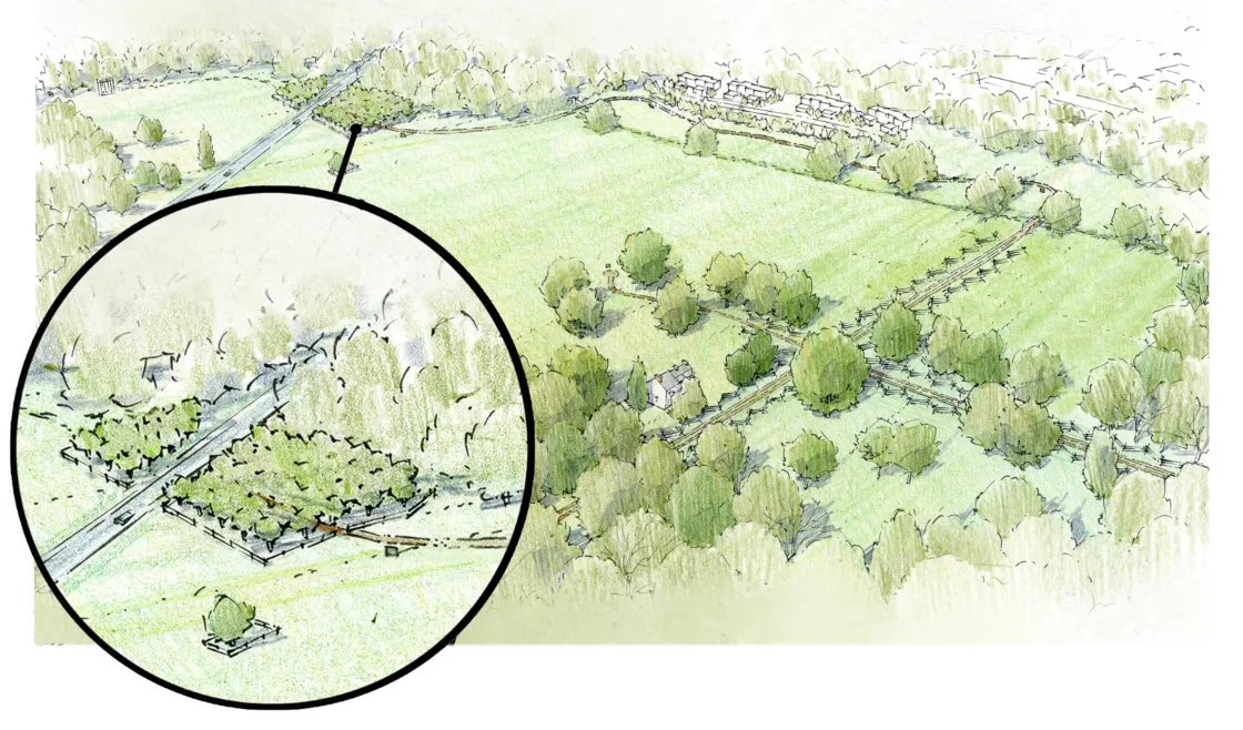 Artist’s illustration depicting orchard at William Clarke farm, Princeton, N.J.