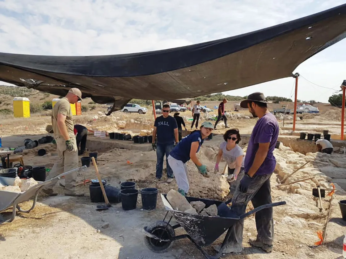 AVAR project in Israel
